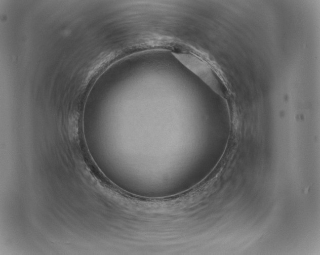 X0000071960010200607071504