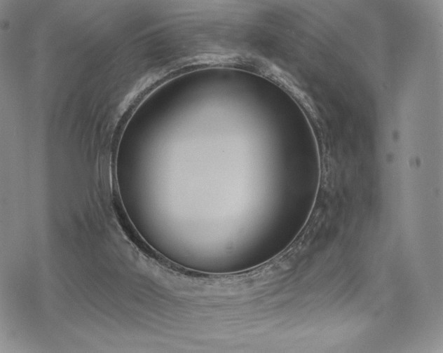 X0000071960011200607071504