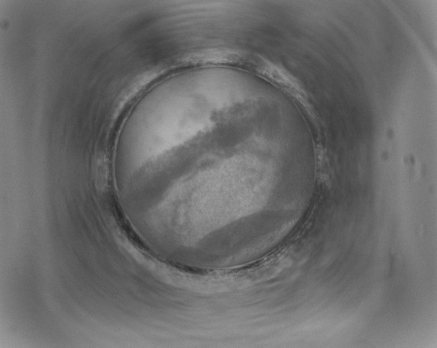 X0000071960012200607071504