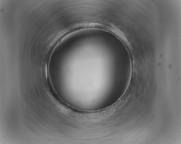 X0000071960013200607071504