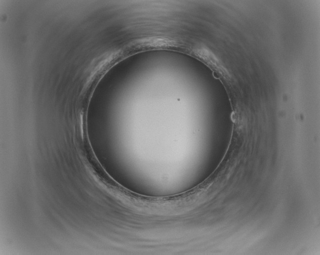 X0000071960014200607071504