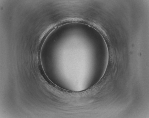 X0000071960015200607071504