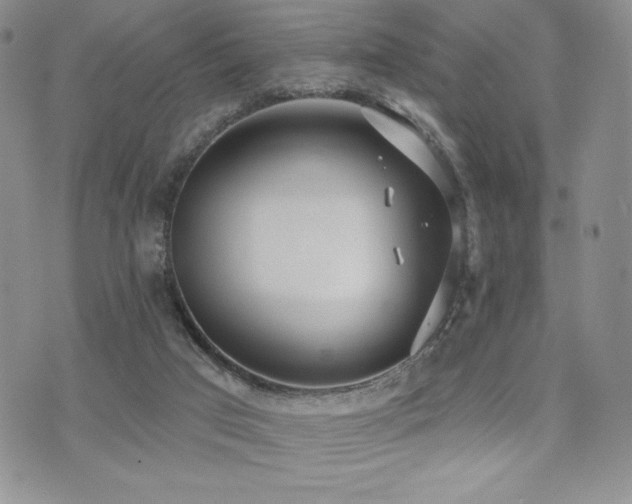 X0000071960017200607071504