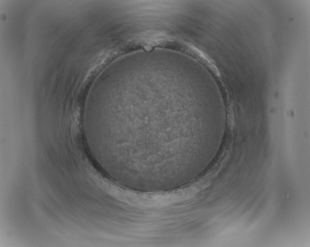 X0000071960018200607071504