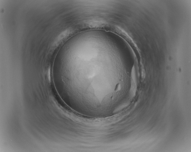 X0000071960019200607071504