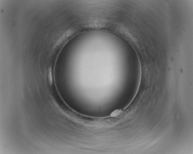 X0000071960020200607071504