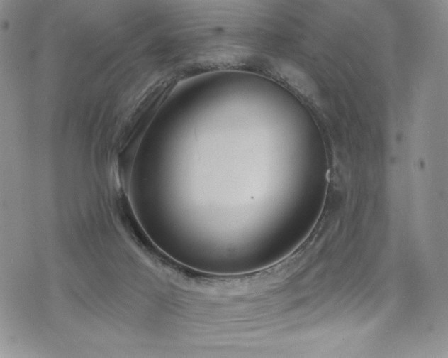 X0000071960021200607071504