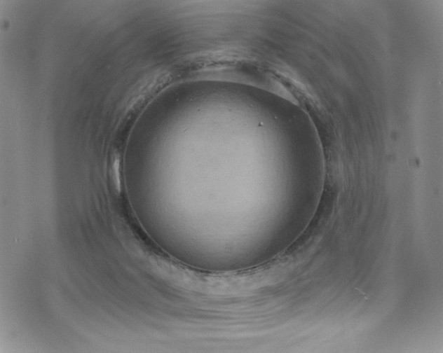 X0000071960022200607071504