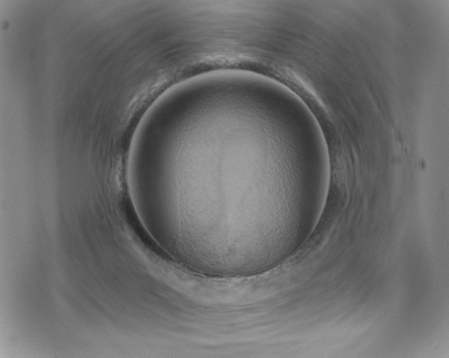 X0000071960023200607071504