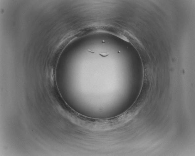 X0000071960024200607071504