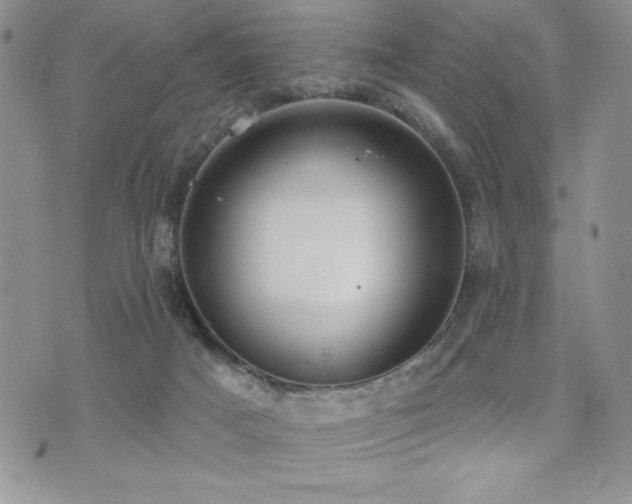 X0000071960025200607071504