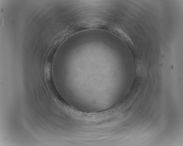 X0000071960026200607071504