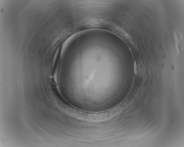 X0000071960027200607071504