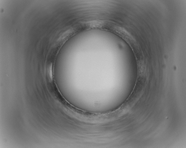 X0000071960028200607071504