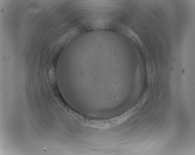 X0000071960029200607071504