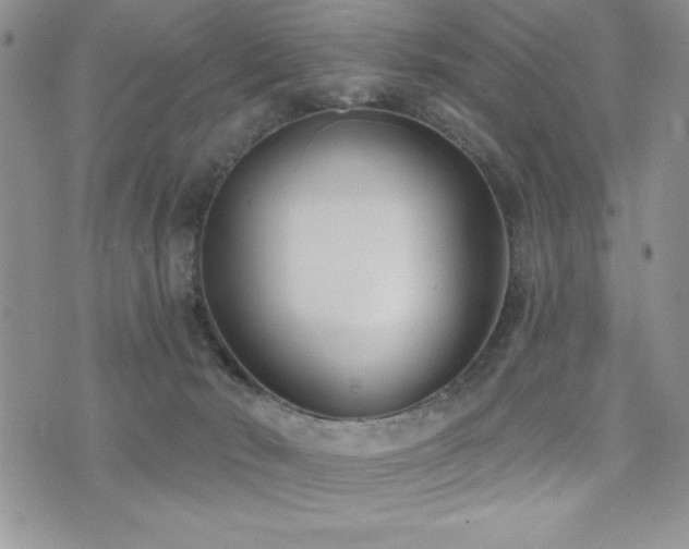 X0000071960030200607071504