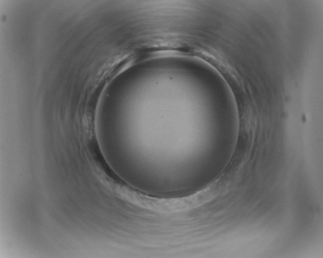 X0000071960031200607071504