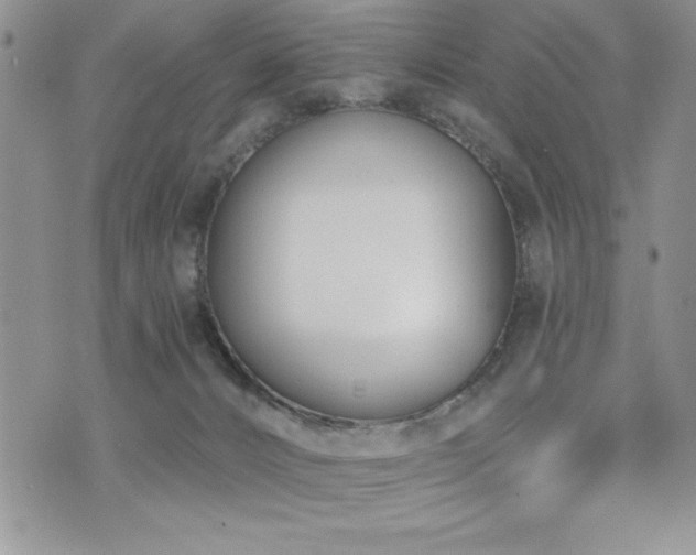 X0000071960032200607071504