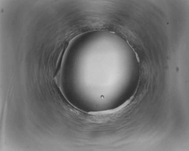 X0000071960033200607071504