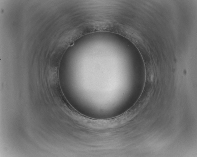 X0000071960034200607071504