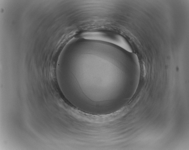 X0000071960035200607071504