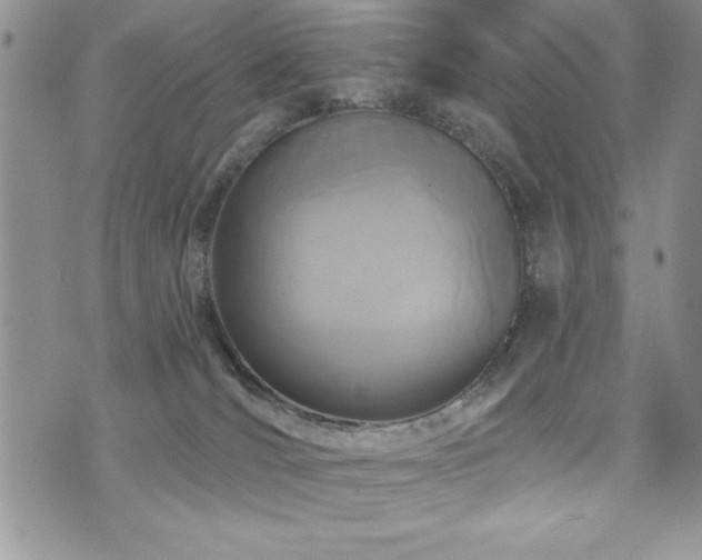 X0000071960036200607071504