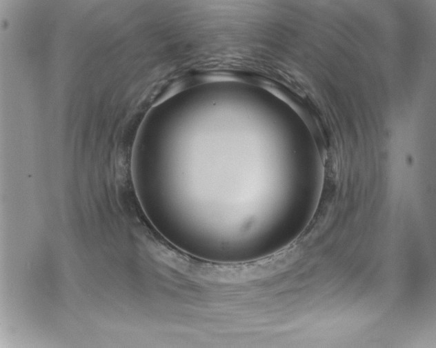 X0000071960037200607071504