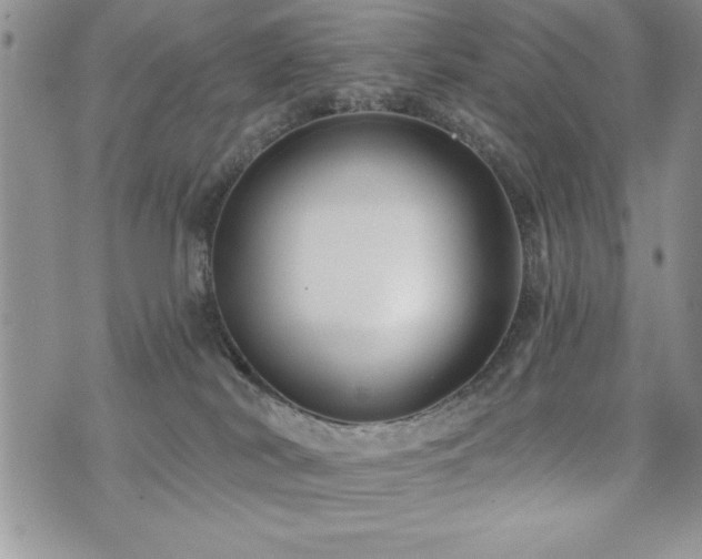 X0000071960038200607071504