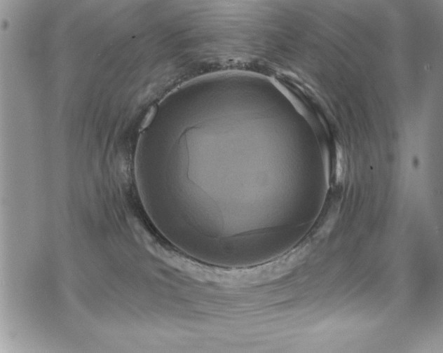 X0000071960039200607071504