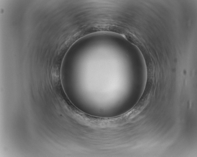 X0000071960040200607071504