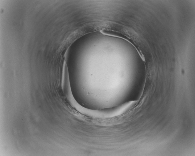 X0000071960041200607071504