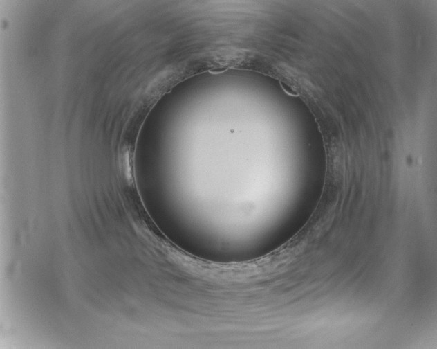 X0000071960042200607071504