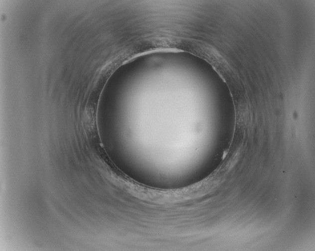 X0000071960043200607071504