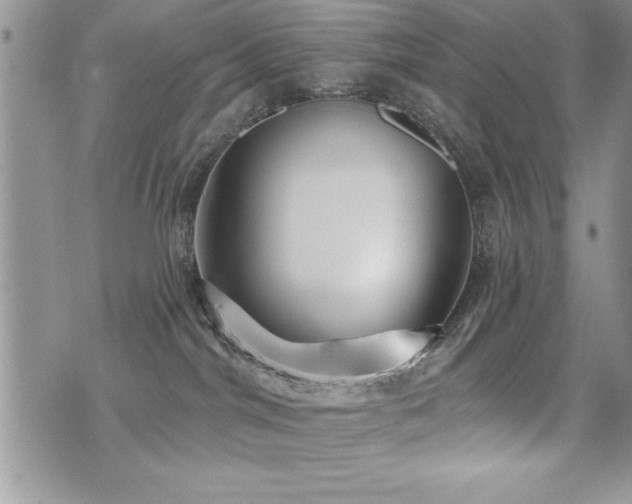 X0000071960044200607071503