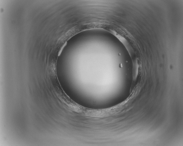 X0000071960045200607071503