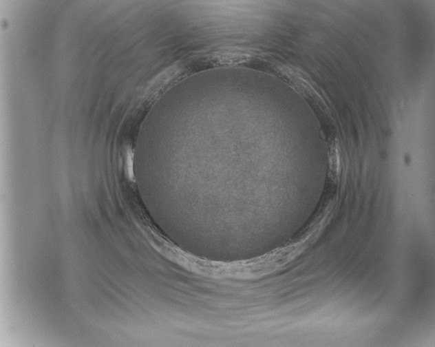 X0000071960046200607071503