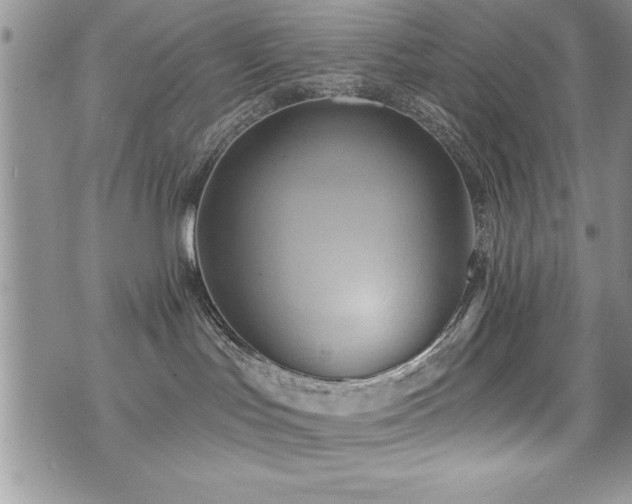 X0000071960047200607071503