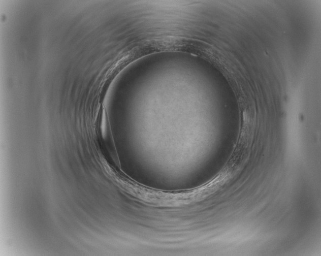 X0000071960048200607071503