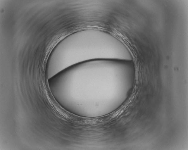 X0000071960049200607071503