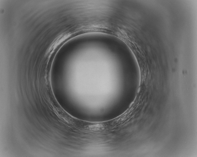 X0000071960050200607071503