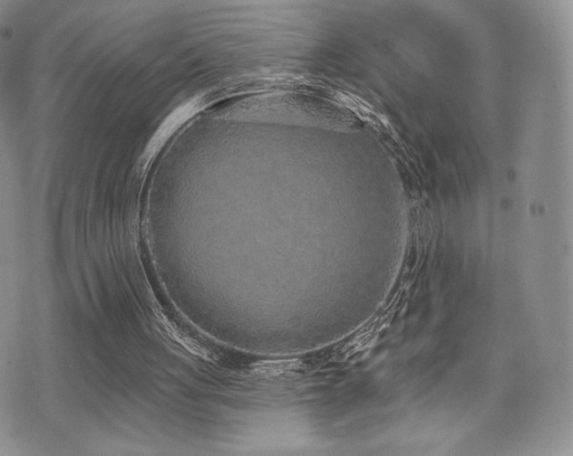 X0000071960051200607071503