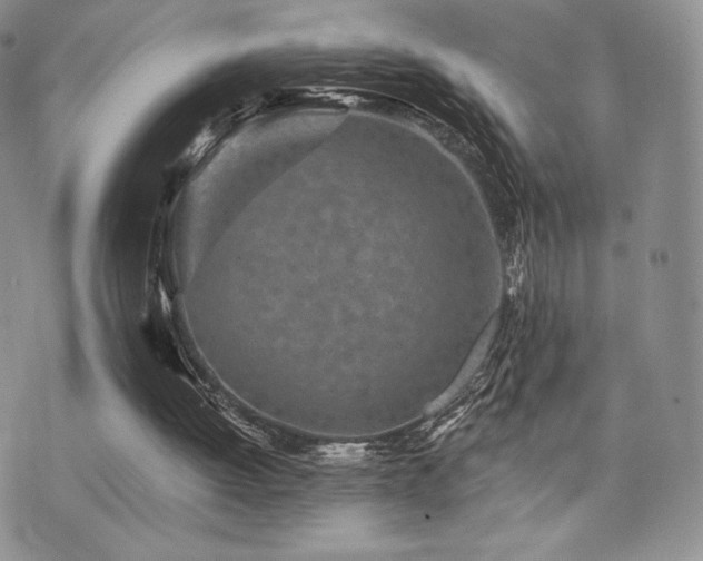 X0000071960052200607071503