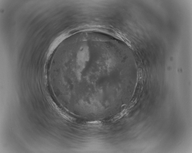 X0000071960053200607071503