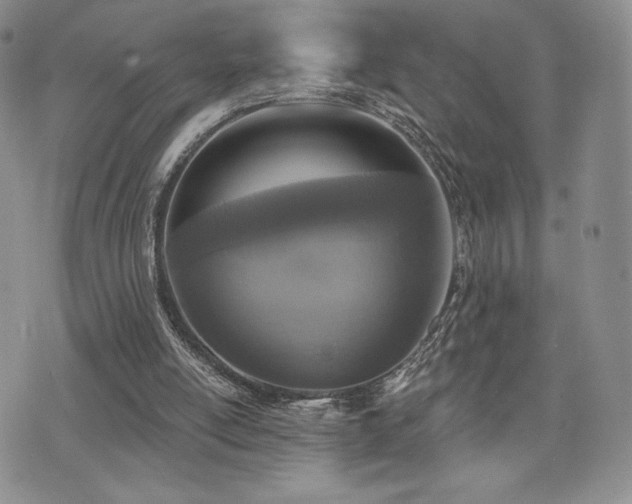 X0000071960054200607071503