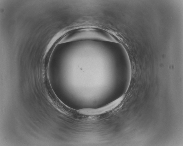 X0000071960056200607071503