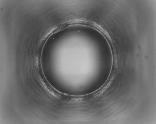 X0000071960057200607071503