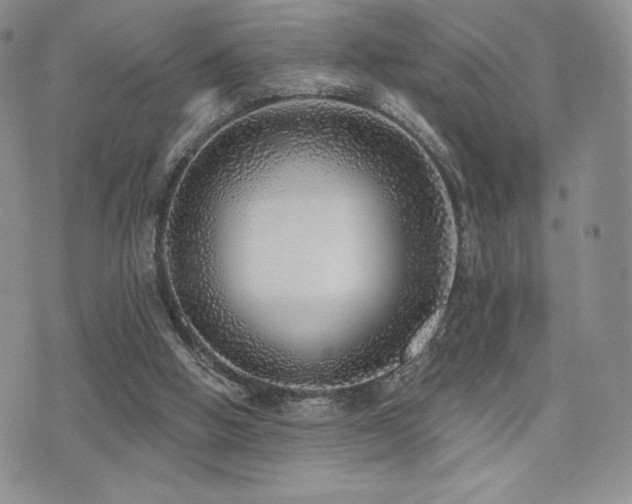 X0000071960058200607071503