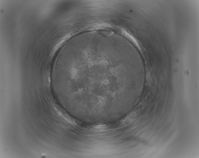 X0000071960059200607071503