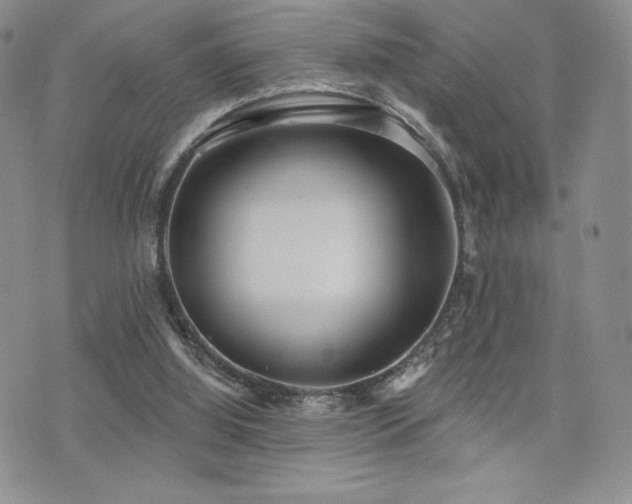 X0000071960060200607071503