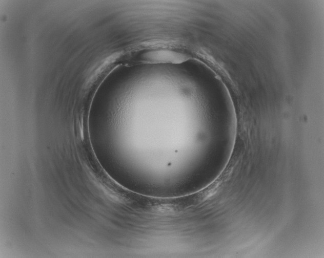 X0000071960062200607071503